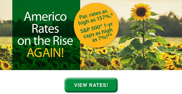 Americo Rates on the Rise, AGAIN!