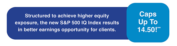 Structured to achieve higher equity exposure, the new S&P 500 IQ Index results in better earnings opportunity for clients.